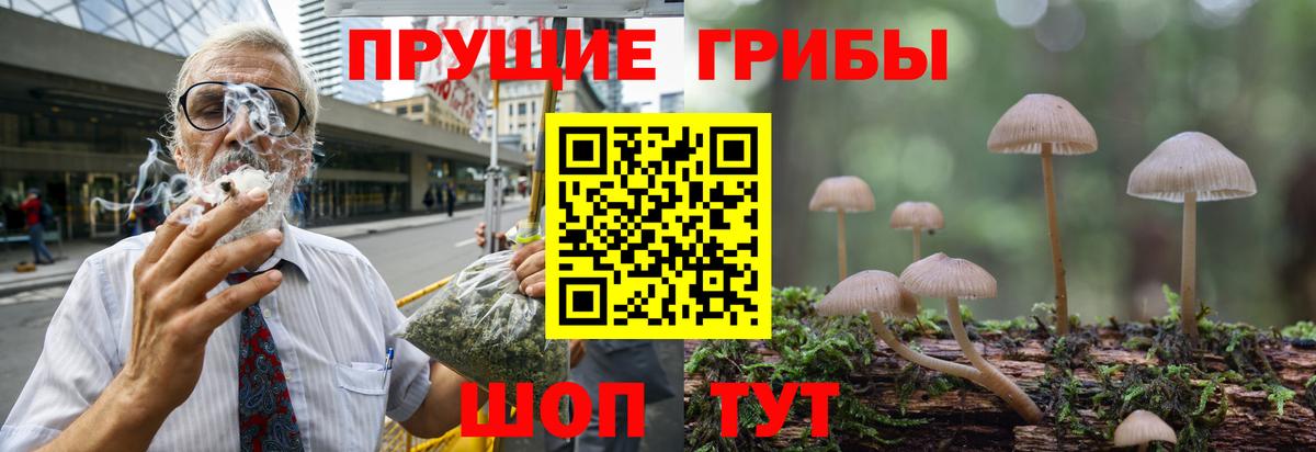 Псилоцибиновые грибы Magic Shrooms Чапаевск