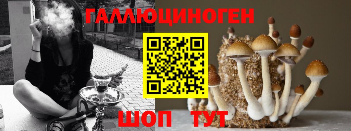 Галлюциногенные грибы GOLDEN TEACHER  Вход с VPN  Псилоцибиновые грибы ЛСД  Чапаевск 