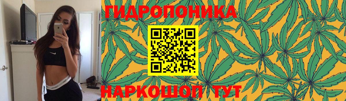 Марихуана конопля  Канабис план  Чапаевск  Вход с VPN 